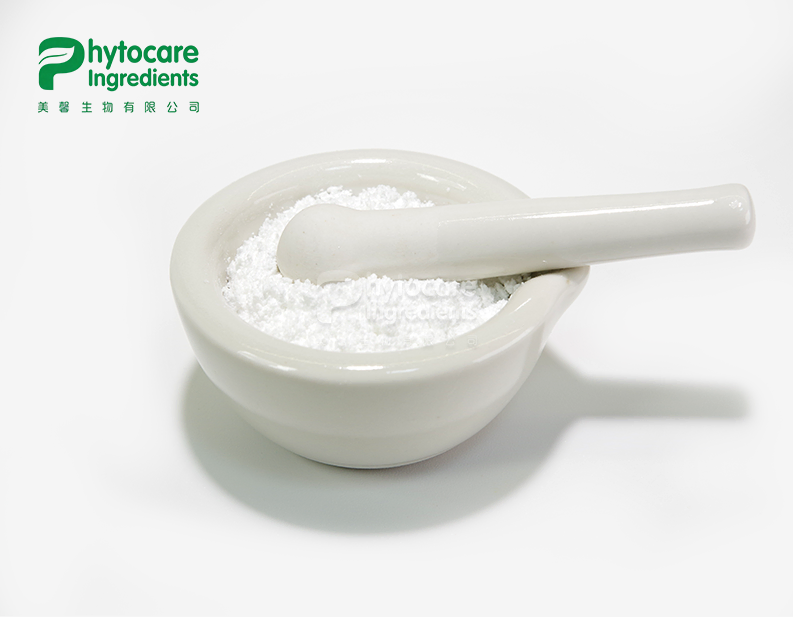 Andrographis Paniculata Extract